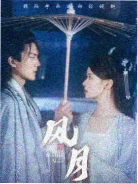 2026好看的电视剧雾港迷局海报